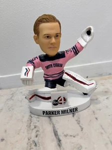 Vtg Parker Milner/ ABc4 Hockey South Carolina - Picture 1 of 4