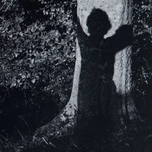 Lothar Baumgarten Ameisenstaat Hamburg Griffelkunst Original Offsetdruck 1978 - Picture 1 of 5