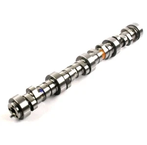 Elgin E-1839-P GM LS LS1 LS3 LM7 5.3 4.8 6.0 Hydraulic Roller Camshaft .575 Lift - Foto 1 di 5