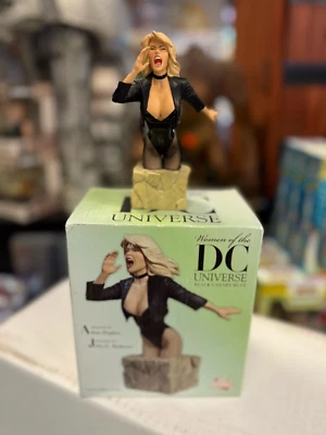 Minibús DC Direct Women of the DC Universe (Serie 1) Black Canary Foto 1 de 2