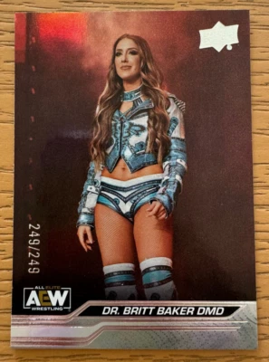 BRITT BAKER STEEL CAGE 2024 Upper Deck AEW PARALLEL 249/249 SP #26 Dr. DMD Card - Image 1 of 4