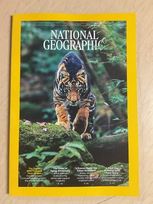 back issues 2018-2025 " National Geographic " You Pick " current issues - Image 1 of 4