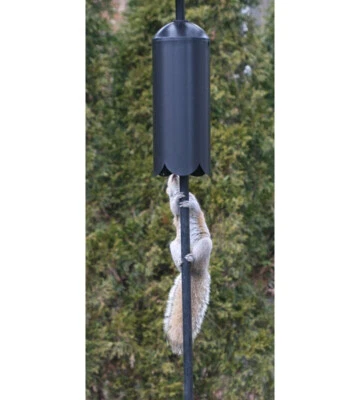 Protector de ardilla superior de montaje en poste de cilindro deflector de ardilla Erva SB1D Foto 1 de 3