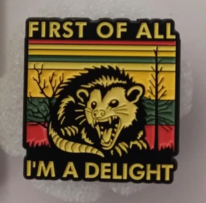 FUNNY SAYING ENAMEL PIN-SHIP ALL THE PINS YOU BUY FOR $4.99-VISIT OUR STORE - Picture 1 of 4