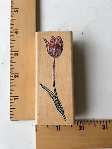 Penny Black Rubber Stamp - Tulip - 2031F - NEW
