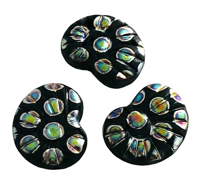 10 Designer Black Vitrail Peacock Czech Glass Nautilus Snail Shell Focal Beads - Image 1 of 3