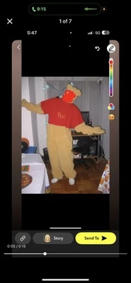 Disfraz de Halloween Winnie The Pooh talla adulto Foto 1 de 4