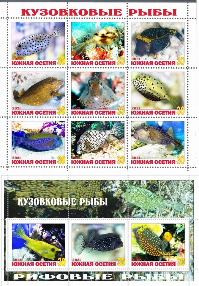 Лист марки + блок Кузоковы рыбы 2021 коралловые рыбы выпуск Южной Осетии - Изображение 1 из 1