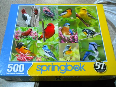 2020 Springbok Birds Of A Feather 500 piece jigsaw Puzzle / Complete - Image 1 of 4
