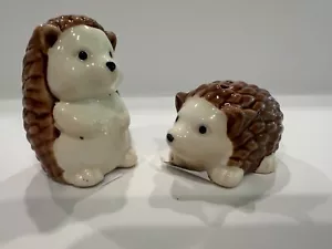 Scuotitore sale pepe riccio scuotitore cucina tavola decorazione inverno cabina - Foto 1 di 8