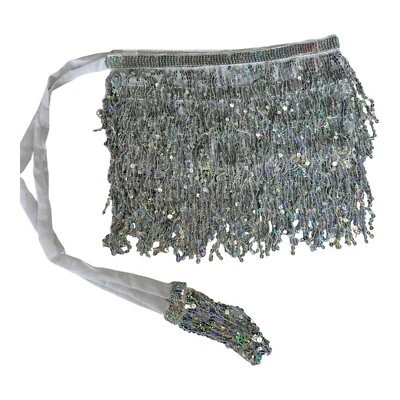 Falda con flecos de lentejuelas plateadas para mujer Disfraz Baile Ropa de club Fiesta Talla única” Foto 1 de 4