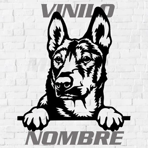 Pegatina Vinilo Malinois nombre mascota - perro - dog - Sticker Belgian - Imagen 1 de 2