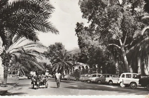 CPSM DJIBOUTI LE CENTRE - Picture 1 of 1