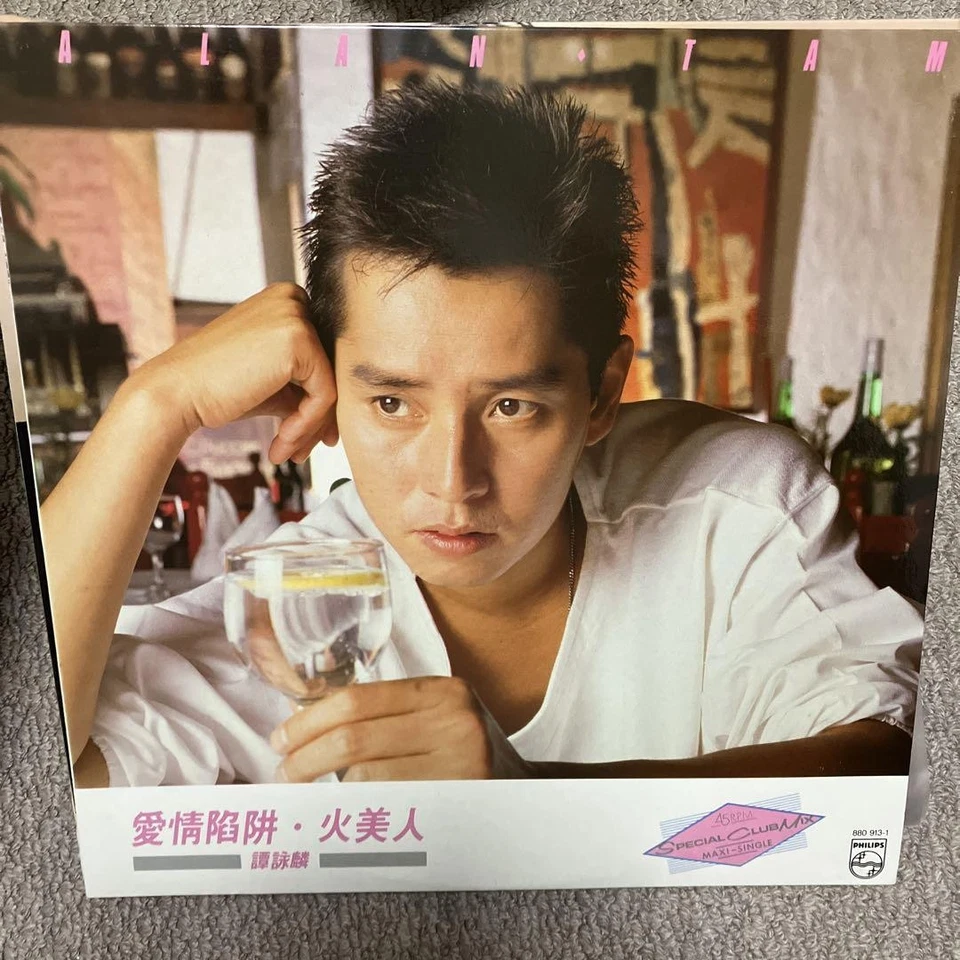 Alan Tam Love Fall Fire Rare LP Record Foto 1 de 1