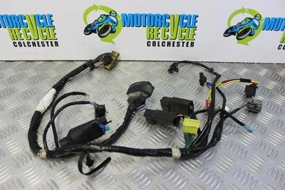 Honda ST 1300 Headlight Sub Loom Front Pan European 2002 to 2007 ST1300 B065 - Imagem 1 de 4