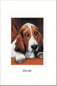 CARTOLINA GATTI E CANI TENERI AMICI POSTCARD DOG & CAT CANE BASSOTTO - Imagen 1 de 1