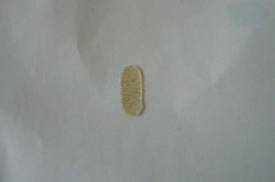 CELLO BRIDGE PARCHMENT / PROTECTOR, PLACE UNDER STRINGS, UK SELLER!!!