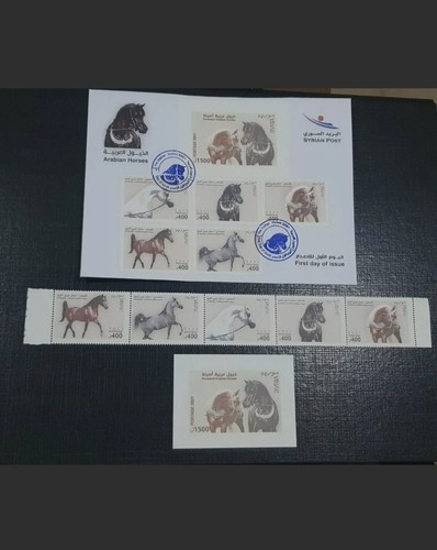 Foto 1 di 1