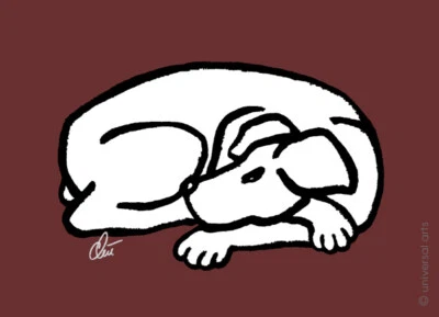 JACQUELINE DITT - Dog-Black Auburn ltd.signiert Druck Grafik ger.13x18 cm Hund - Bild 1 von 3