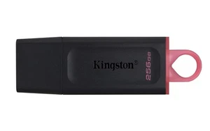 Kingston DataTraveler Exodia DTX/256GB Flash Drive USB 3.2 Gen 1 - with Protecti - Bild 1 von 10