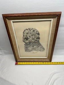 Original Bleistiftzeichnung Skizze Hund "Skippy signiert von D.Harding 77 Holz gerahmt - Bild 1 von 5