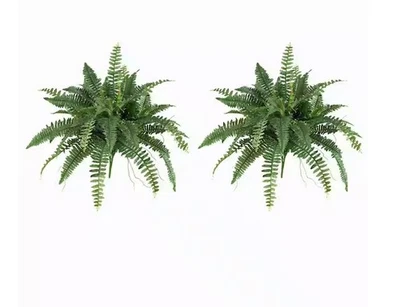 Casi natural 40 pulgadas. Helecho artificial Boston (juego de 2) Foto 1 de 4