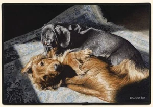DOORMAT--18 X 27-Partners in Crime Dachshunds-Non-skid rubber backed,  - Picture 1 of 1