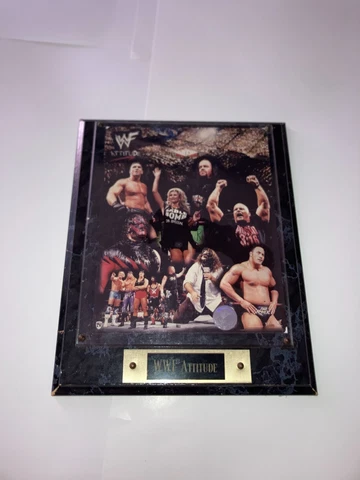 WWF Attitude Plaque Vintage 1998 Framed with Name Plate Excellent Condition Cover