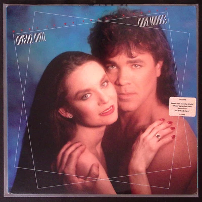 CRYSTAL GAYAL & GARY MORRIS WHAT IF WE FALL IN LOVE ? WARNER BROS     LP 140-42W - Image 1 of 4