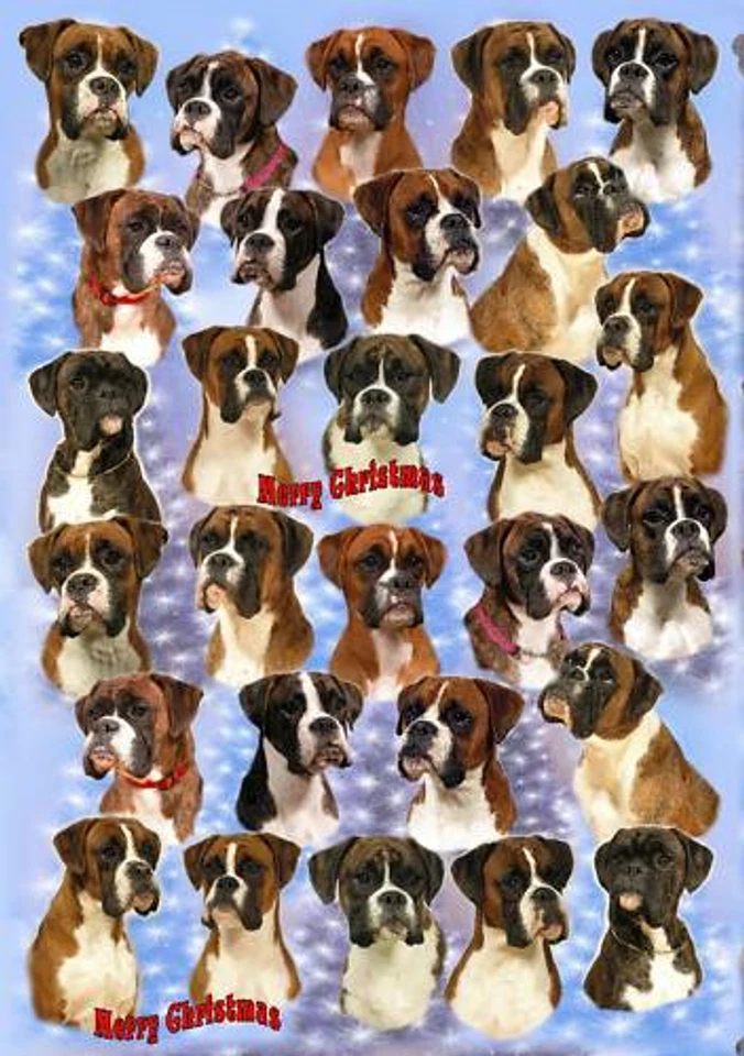 Boxer Dog Christmas Wrapping Paper By Starprint - Auto combined postage