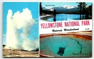 Banner Postcard Yellowstone National Park Old Faithful Sylvan Lake Morning Glory - Picture 1 of 2