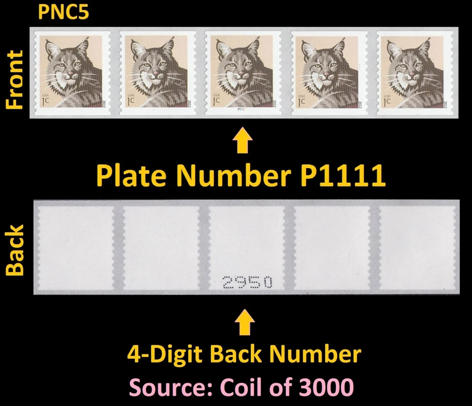 US 4672 Bobcat 1c #on# PNC5 P1111 4d back # MNH 2012 - Image 1 of 1