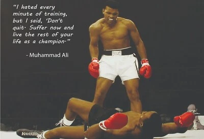 Famous Quotes Mini Poster 2 sizes to pick from, reprint photo 026