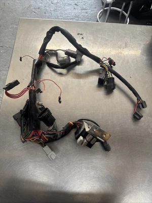 1996 Harley Davidson Tour Glide Carenagem Arnês USADO 70172-94 - Imagem 1 de 4