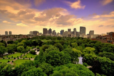 Boston Public Garden with Skyline at Sunrise Photo Art Print Poster 18x12 - Image 1 of 3