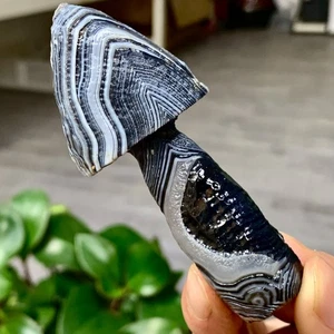 86G Natural Gobi Thousand Eyed Agate mushroom Shape Reiki Chakra Healing - Picture 1 of 23