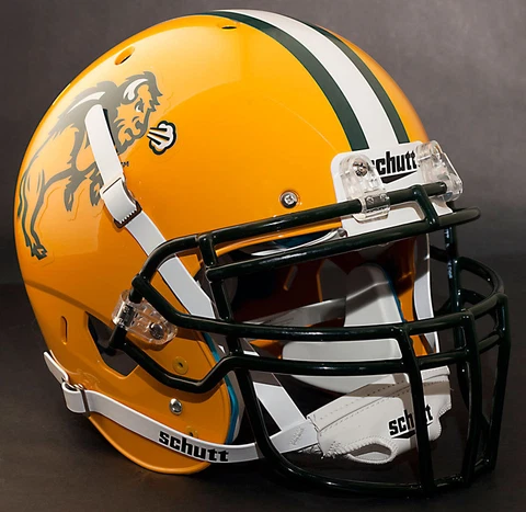*CUSTOM* NORTH DAKOTA STATE BISON Schutt XP Authentic GAMEDAY Football Helmet Cover