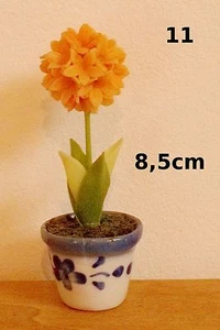 plante, arbuste fleuri, ornement, vitrine, maison de poupée, dollshouse, jardin - Imagen 1 de 1