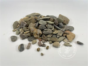 River Stone / Planted Aquarium / Decoration / Hardscape / Aquarium - Picture 1 of 6