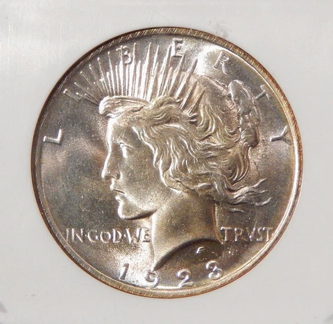 1923 $1 NGC MS 66 ~ HIGH GRADE SILVER PEACE DOLLAR Cover