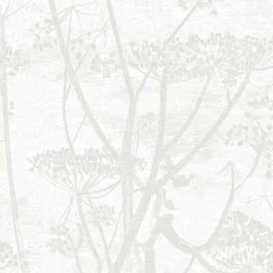 Cole & Son 95/9052 Cow Parsley Wall Covering 10.05m x 52cm *BRAND NEW* - Picture 1 of 4