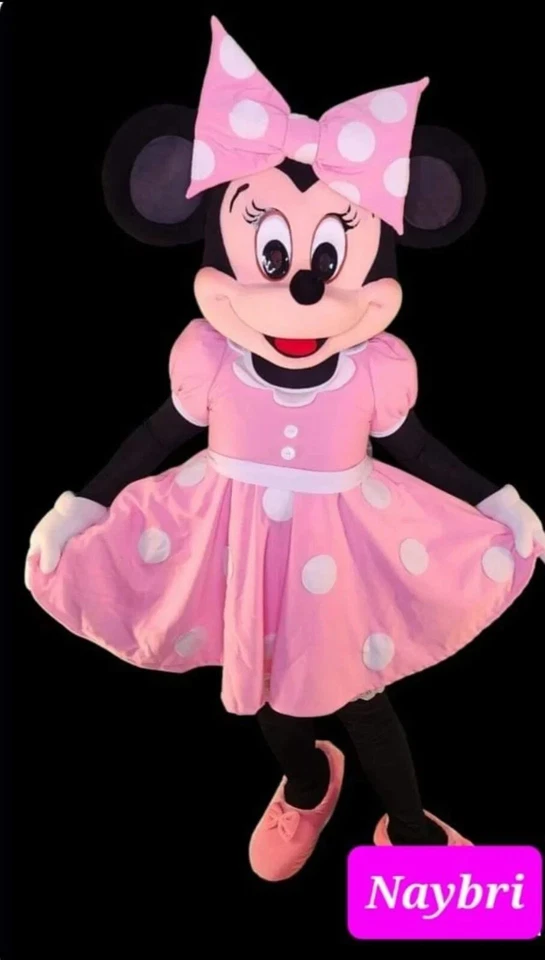 Disfraz de mascota señora ratón LISTO PARA ENVIAR Foto 1 de 1