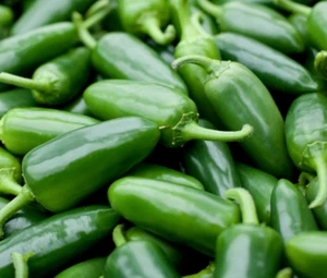 JALAPENO M PEPPER SEEDS 50+ spicy MEXICAN CULINARY salsa CULINARY FREE SHIPPING - Picture 1 of 1