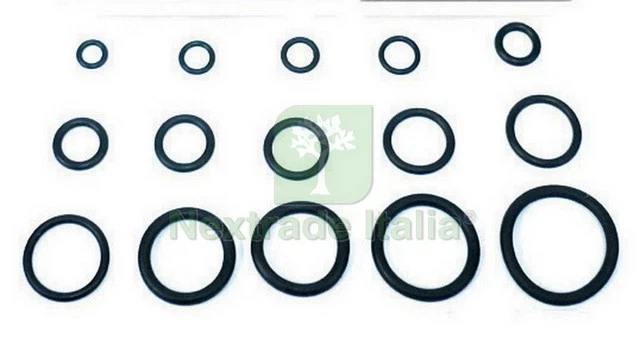 CF O RING 12,10X2,70 X CANNA LAVELLO PZ 100: - Immagine 1 di 1