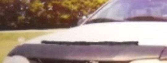 Mini sujetador protector de capucha Lebra para Ford Mustang y GT 1994-1998 Foto 1 de 1