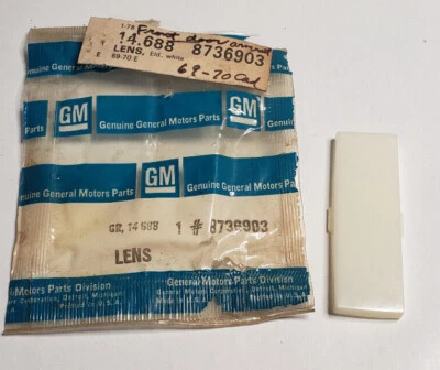 1969 - 1970 凯迪拉克 Eldorado 礼貌灯镜头前门扶手 8736903 — 第 1/4 张图片