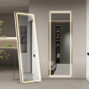Floor Mirror with LED Light 64" x 21" Full Length Hanging Wall Full Body Mirror - Picture 1 of 4