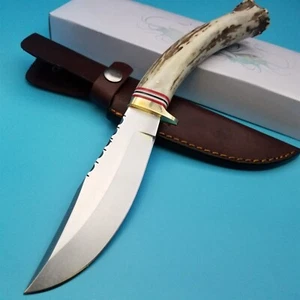Fixed Blade Knife Stag Antler Handle Skinner Hunting Leather Sheath File work - Picture 1 of 10