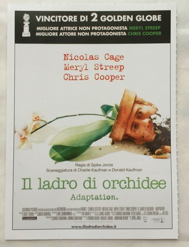 Foto 1 di 1