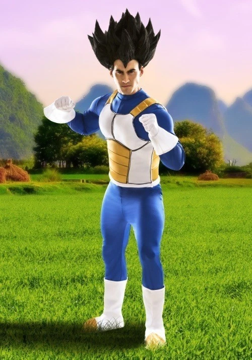 Dragon Ball Z Vegeta Adult Costume - Halloween or any occasion! - Image 1 of 1